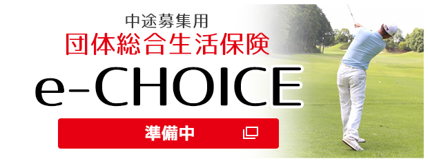 中途募集用　団体総合生活保険e-choice