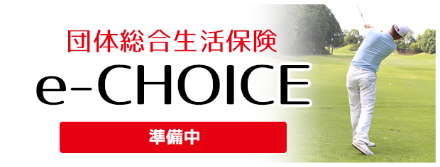 中途募集用　団体総合生活保険e-choice